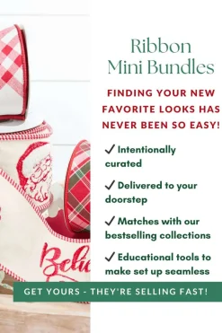 Believe Ribbon Mini Bundle