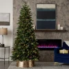 7.5' Canyon Ranch Fir Tree with 380 Warm White LED Lights