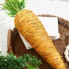 23.5" Carrot - Orange