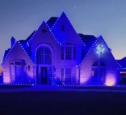 Case - Blue C9 Wonderful Faceted (500pcs)