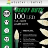 C6 Faceted 100 LED Light Set - Warm White