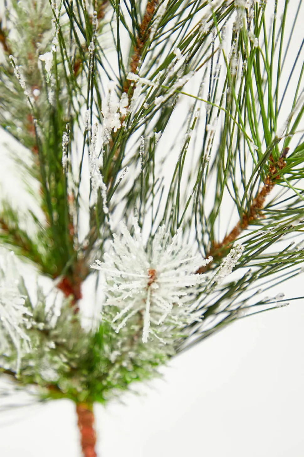 24" Christmas Flocked Pine Spray
