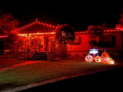 C9 Wonderful LED SMD Bulb (25 bulbs/bag) - Faceted, Orange