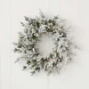 24" Dandan Plug-In Flocked Wreath with Warm White LED Lights