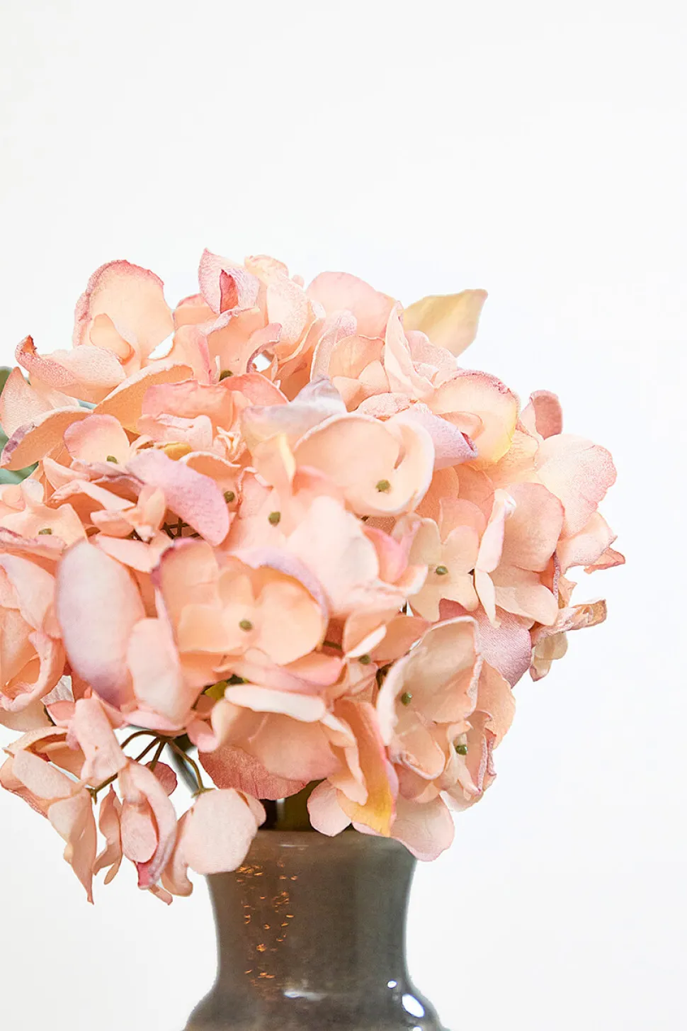 22" Dried Grand Hydrangea Stem - Pink
