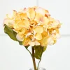 22" Dried Grand Hydrangea Stem - Yellow