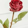 21" Dried Red Rose Stem