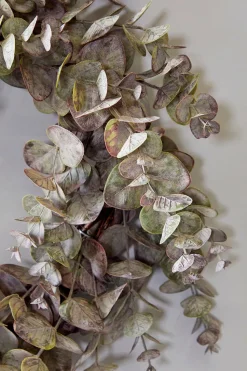 24" Eucalyptus Wreath