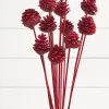 21" Euro Cone Pick - Red
