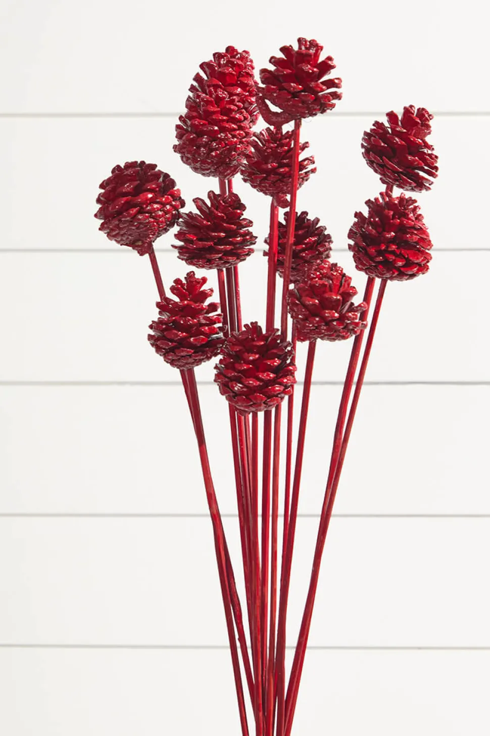 21" Euro Cone Pick - Red
