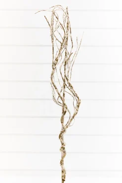 34" Frosted Beaded Twig Spray