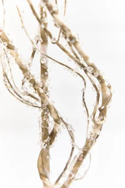34" Frosted Beaded Twig Spray