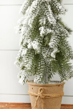 18” Frosted Downswept Pine In Burlap Pot