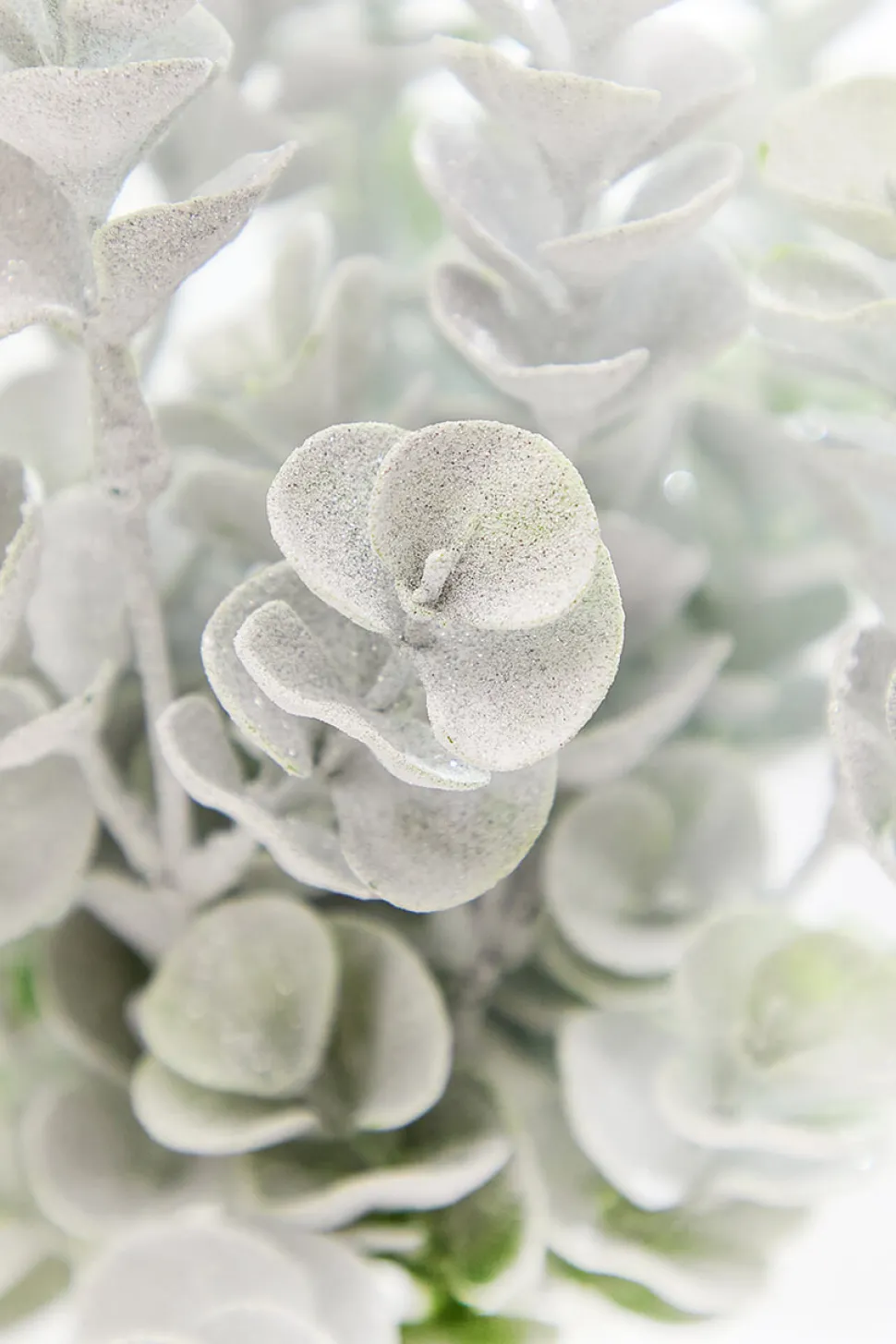16" Frosted Eucalyptus Bush