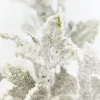 19" Frosted Holly Bush