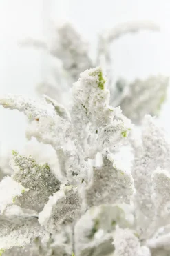 19" Frosted Holly Bush