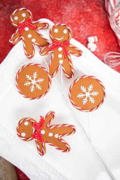 27” Gingerbread Spray with Peppermint Outline
