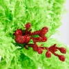 11" Green Furry Feather Fabric Poinsettia