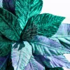 25" Green Plaid Poinsettia Stem