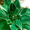 24" Green Retro Poinsettia Stem with Jingle Bells