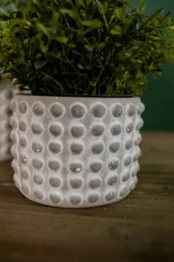 4"H x 5”D Stone Geo Dotted Hobnail Pot