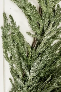 48” Iced Garden Norfolk Pine Garland