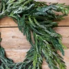 24” Iced Garden Norfolk Pine Wreath