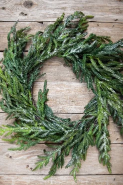 24” Iced Garden Norfolk Pine Wreath