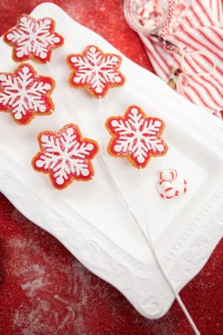 26” Iced Red and White Snowflake Spray