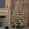 7.5' Jackson Flocked Pine with 600 Warm White LED Lights