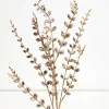 33" Jeweled Champagne Leaf Spray