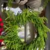 24” Just Cut Norfolk Pine Wreath