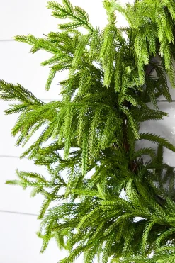 24” Just Cut Norfolk Pine Wreath