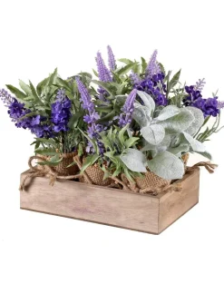 9” Lavender & Lamb’s Ear In Burlap with Crate - Set of 6