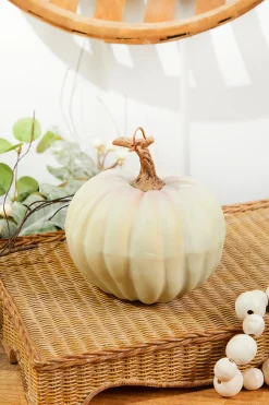 6" Light Green Harvest Vine Pumpkin