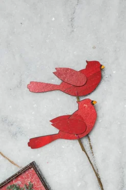 20” MDF Cardinal Spray