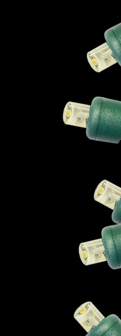 5mm Warm White 100 LED Light Set
