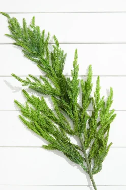 38” Natural Touch Norfolk Pine Christmas Spray