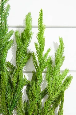 38” Natural Touch Norfolk Pine Christmas Spray