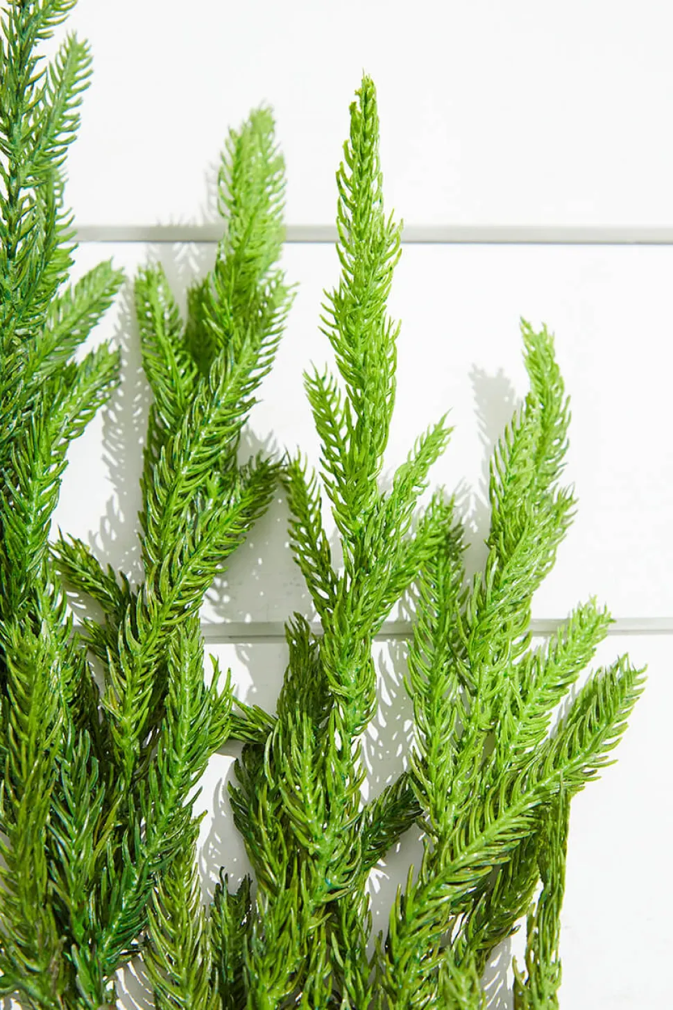 38” Natural Touch Norfolk Pine Christmas Spray
