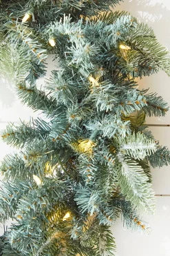 22" Park Hill Frosted Blue Spruce LED Wreath
