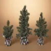Pine Tree With Plaid Fabric - Medium