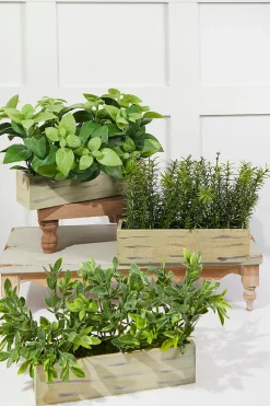 11" Plastic Herbs In Wooden Box