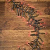 25' Platinum Elite Cluster Lights - 760L Red (Green Cord)