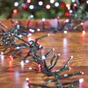 12.5' Platinum Elite Cluster Lights - 380L Cool White & Red (Green Cord)