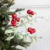20” Pod Leaf Frosted Christmas Spray