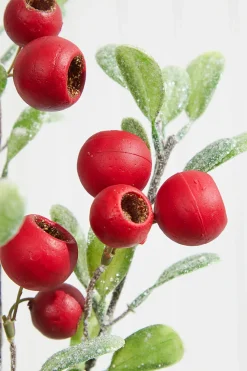 20” Pod Leaf Frosted Christmas Spray