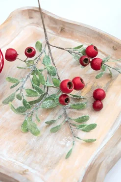 20” Pod Leaf Frosted Christmas Spray