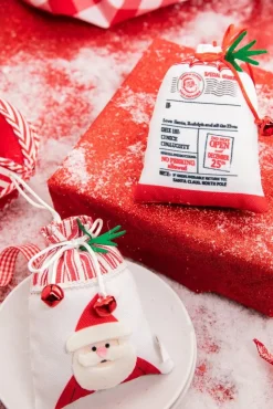 5” Polyester Special Delivery Sack Ornament