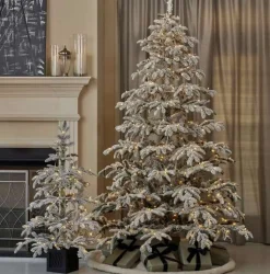 4' Potted Jackson Flocked Pine with 150 Warm White LED Lights